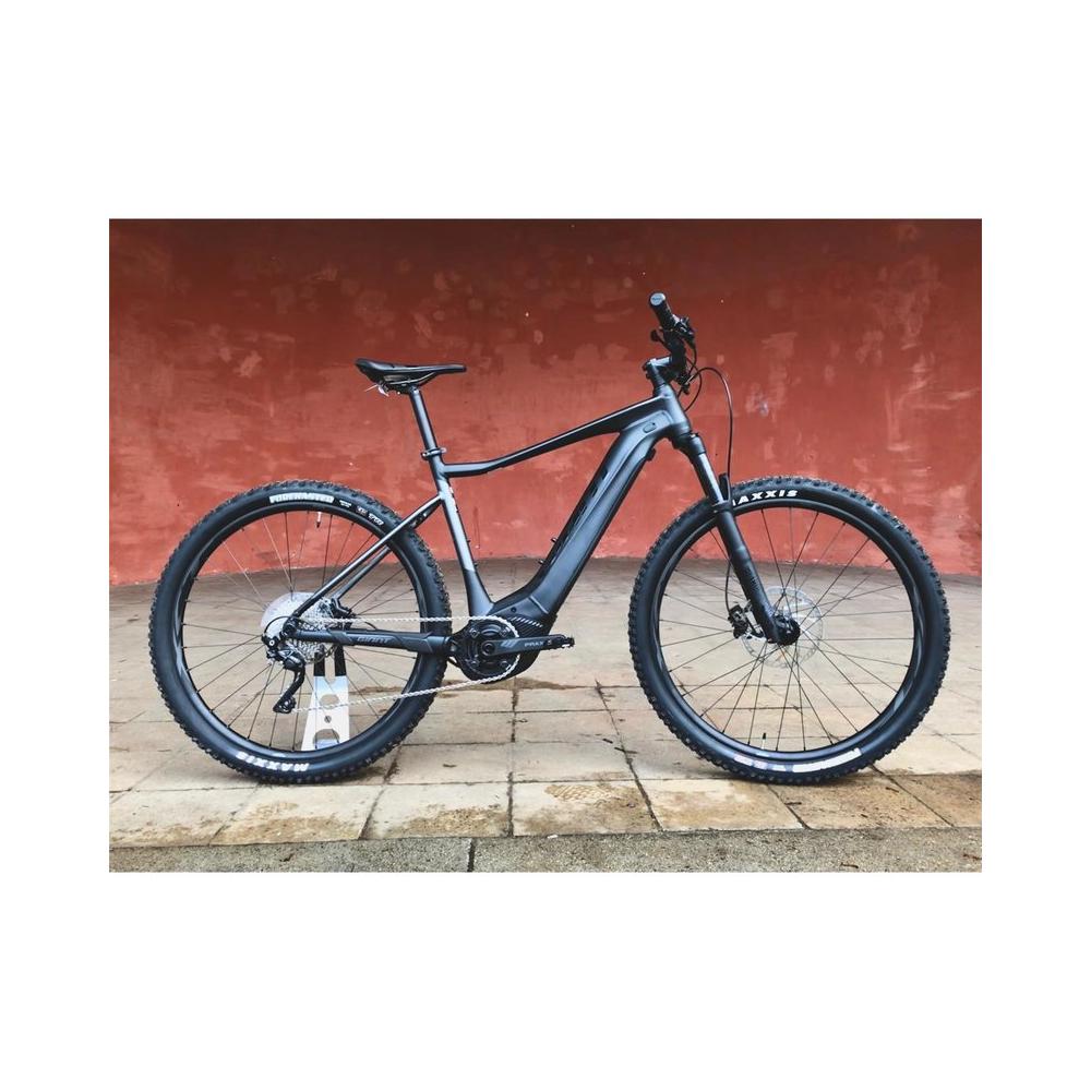 giant fathom e  2 pro 29er 2019