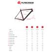KROSS ESKER 1.0 GREY / GRAPHITE 2022 FÉRFI GRAVEL KERÉKPÁR