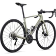 GIANT DEFY ADVANCED 2 BAY LEAF 2024 FÉRFI ORSZÁGÚTI KERÉKPÁR