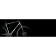 KTM X-LIFE RACE H MOSSGREY (BLACK+ORANGE) 2022 FÉRFI CROSS KERÉKPÁR