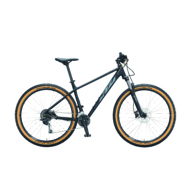 Ktm Ultra Fun 29 black matt (grey+gold) Férfi MTB Kerékpár 2021