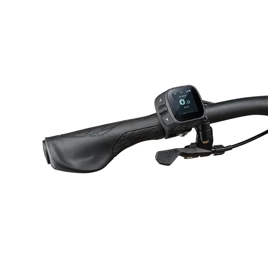 LIV Lurra E+ EX női MTB elektromos kerékpár - L méretben
